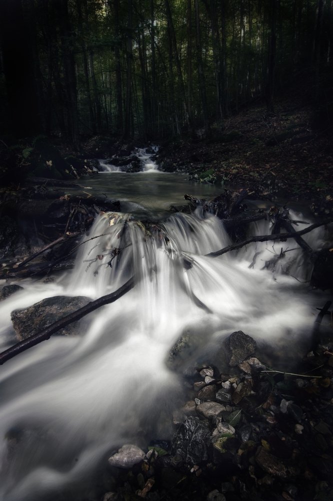 Photograph by Roman Adamjak