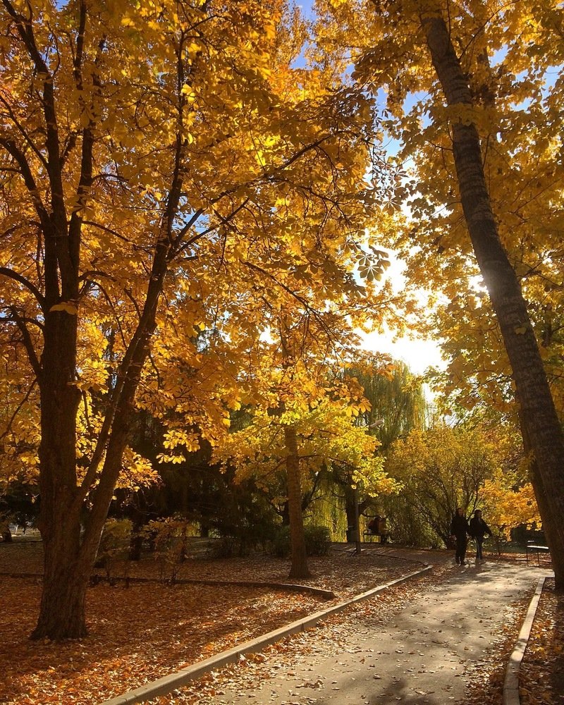 Золотишко на ветер