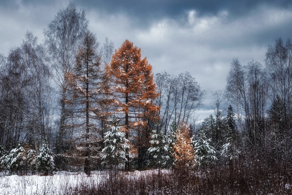 Photograph by Евгений Антонов