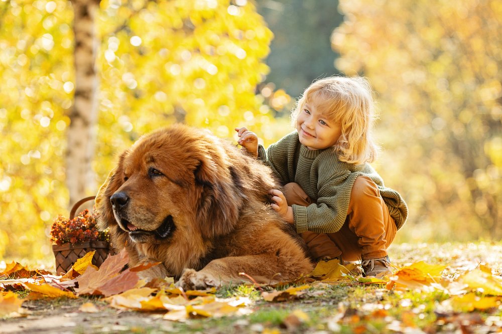 Photograph by Екатерина Коломеец