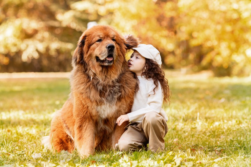 Photograph by Екатерина Коломеец