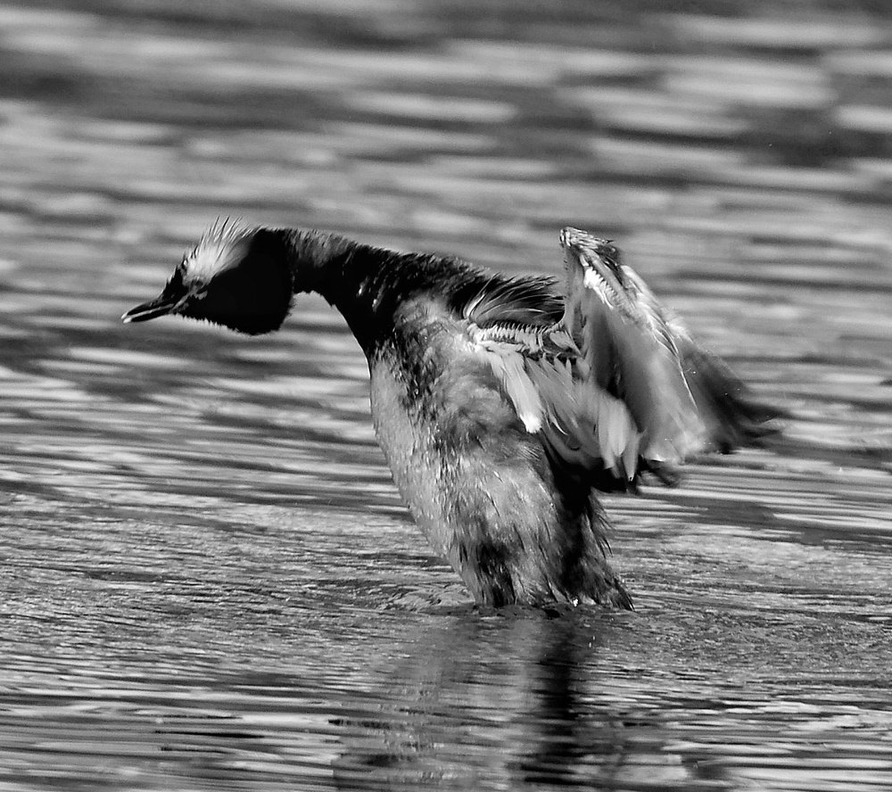 Photograph by Алексей Фомичев