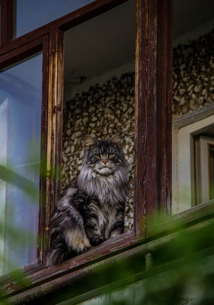 Photograph by Ирина