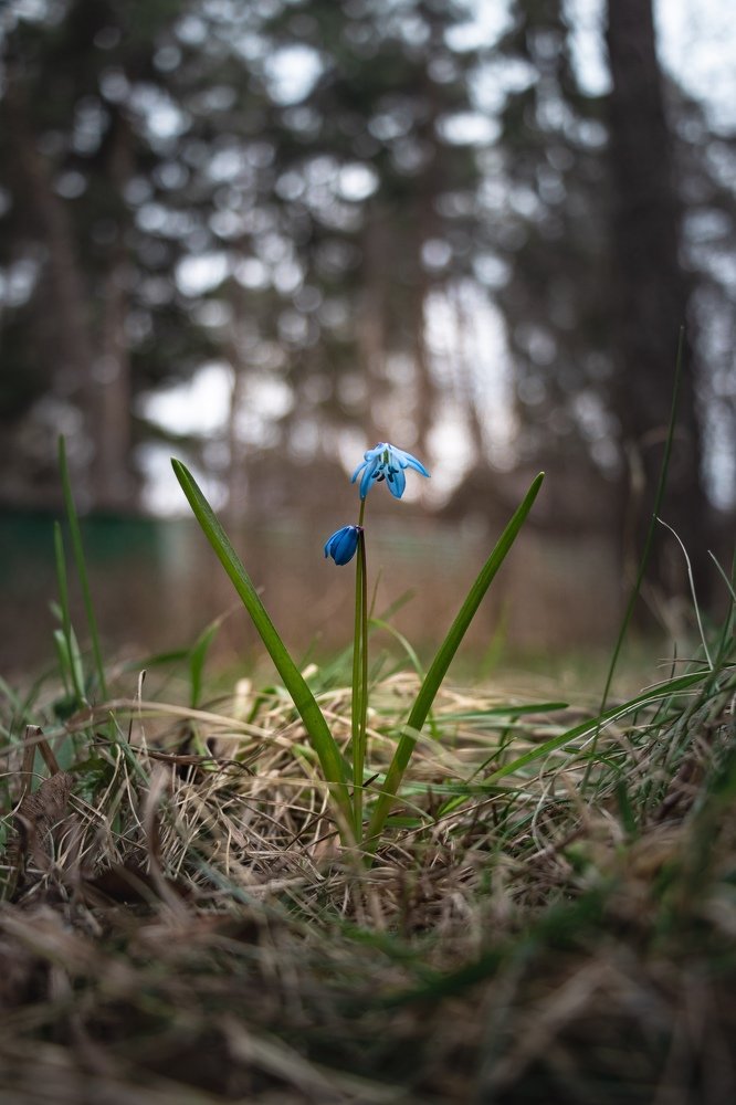Photograph by Владислав Монахов
