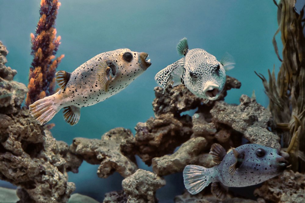 Photograph by Вера Лопатина