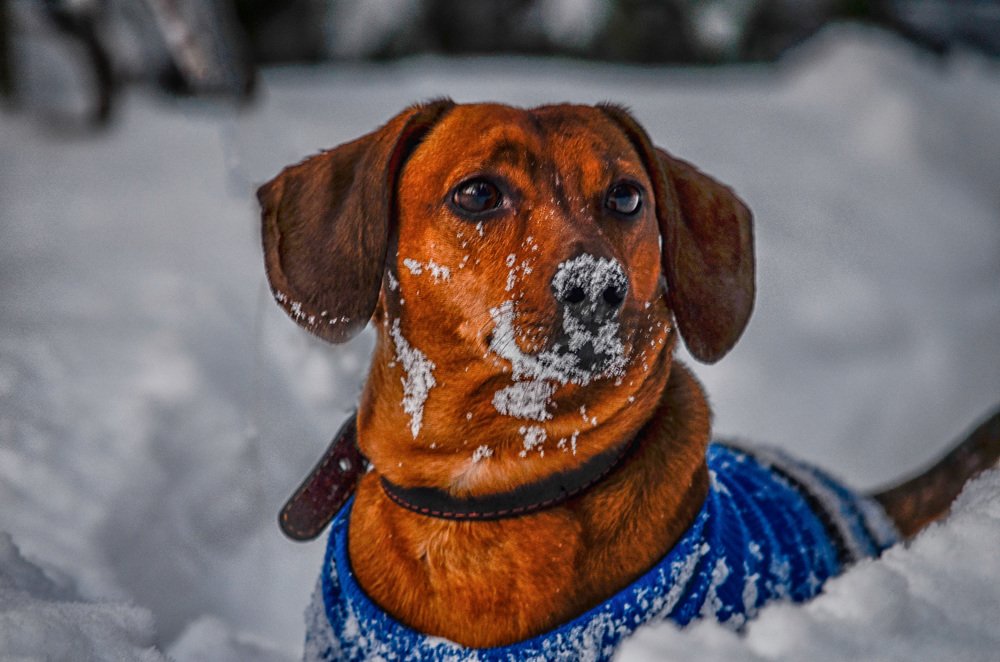 Photograph by Ирина