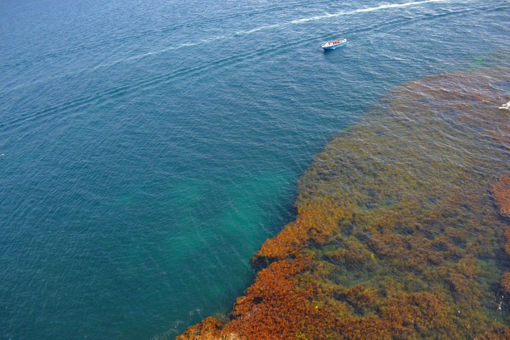 Photograph by Валерия Бердникова
