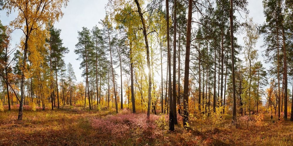 Фотография автора Линдеров Михаил