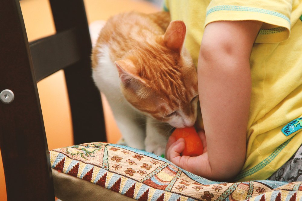 Photograph by Ирина Ковалева