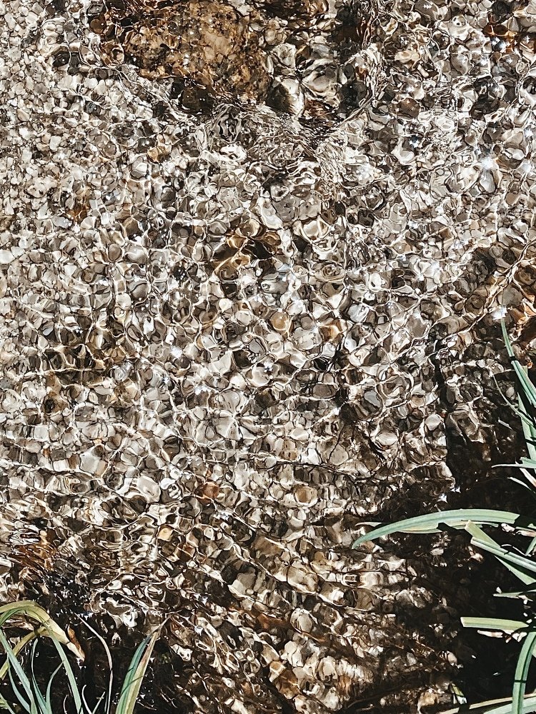 Photograph by Galina