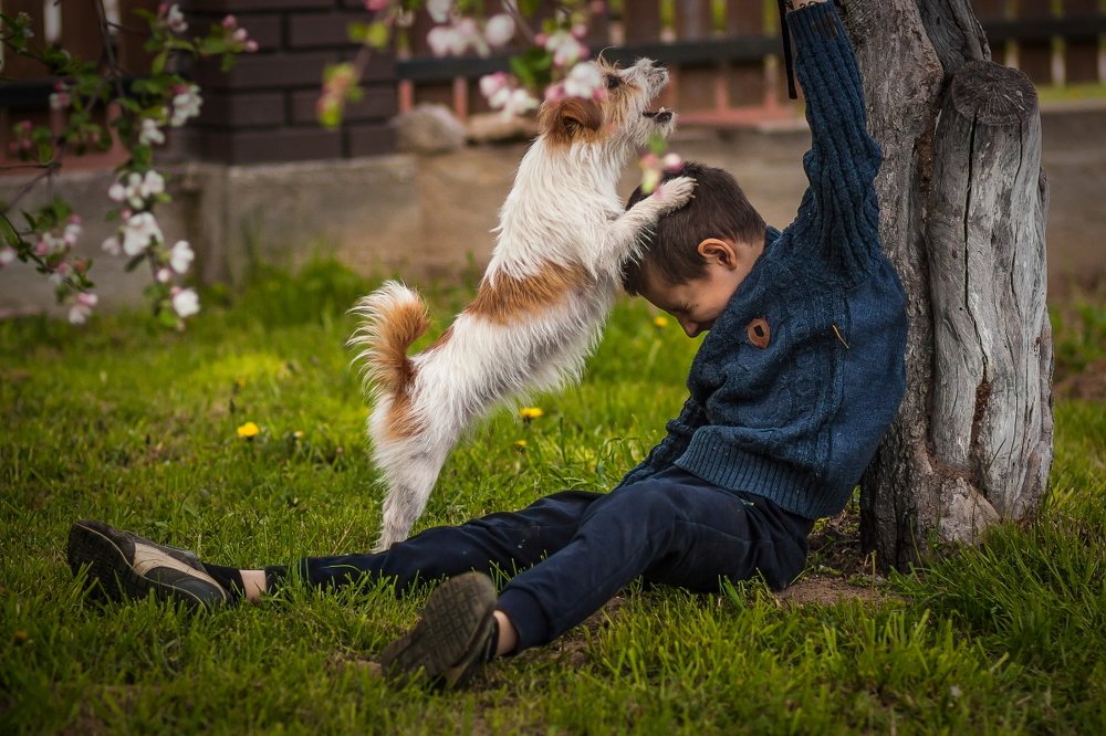 Photograph by Дмитрий Сундеев