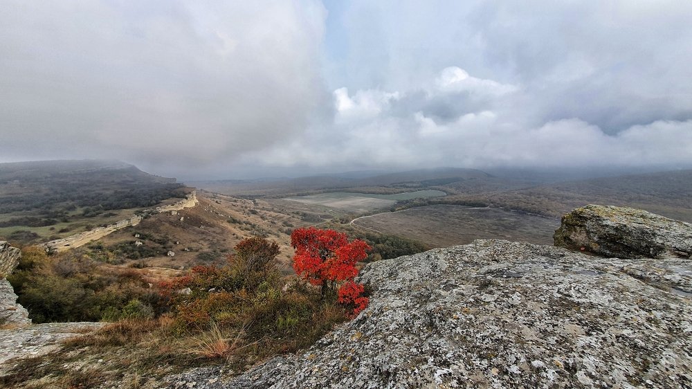 Photograph by Виктория Сметанина