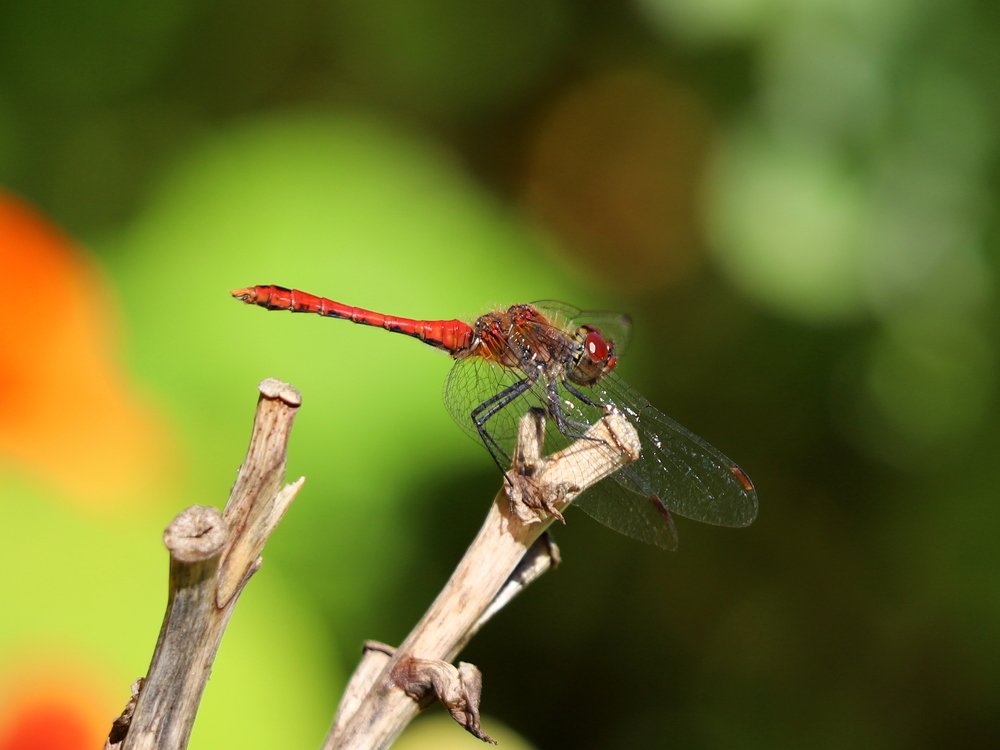 Photograph by Екатерина Мстиславская