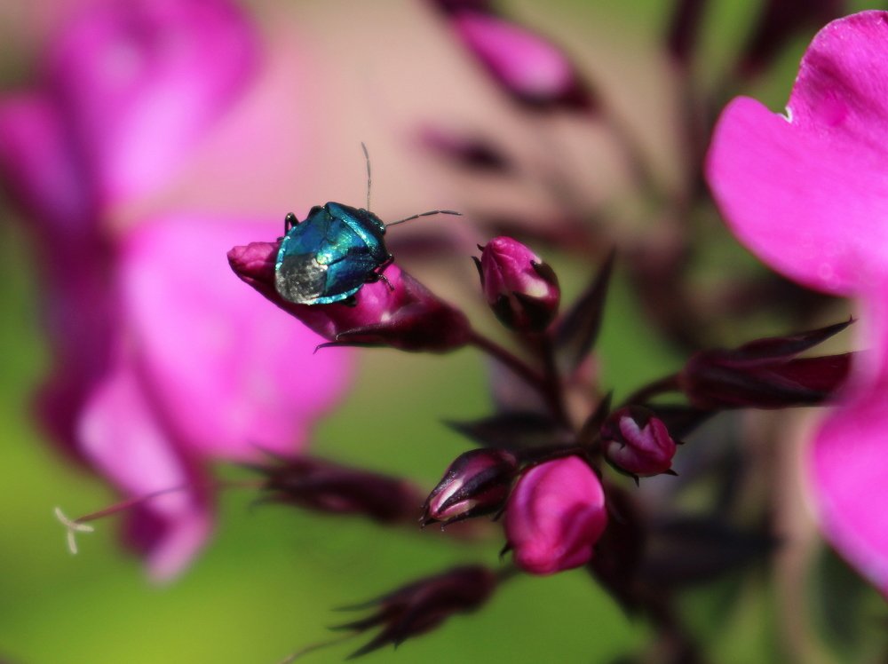 Photograph by Екатерина Мстиславская