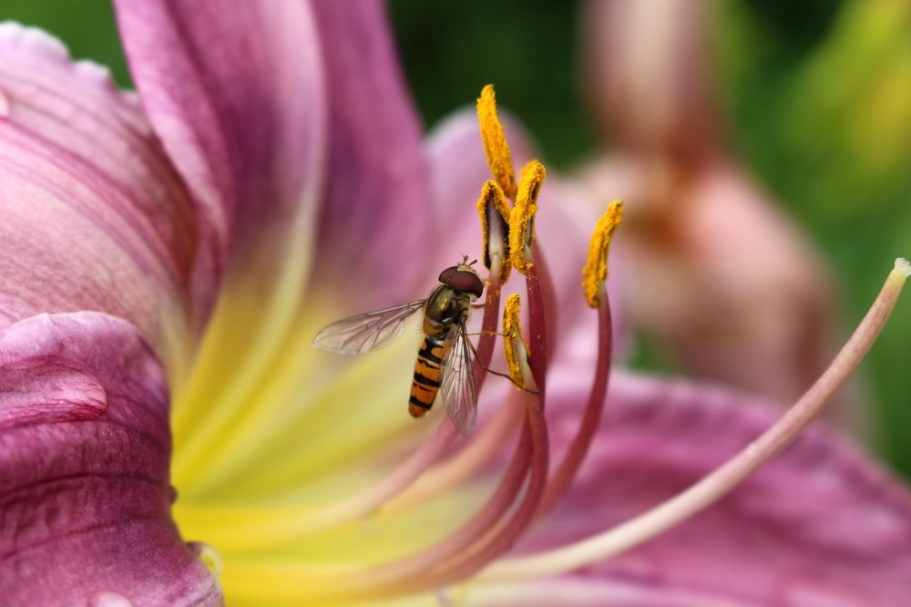 Photograph by Екатерина Мстиславская