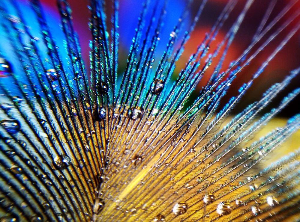 После дождя