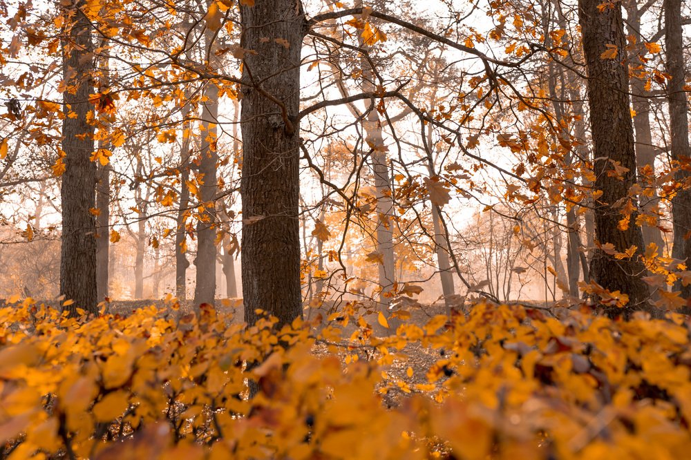 Photograph by Юлия Ильина