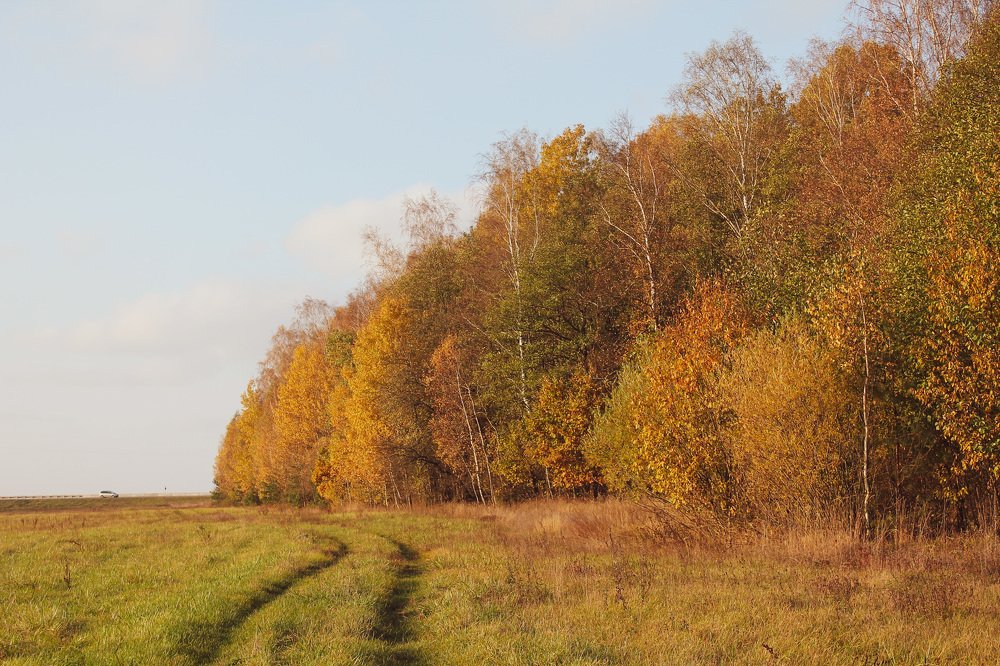 Дорога в осень