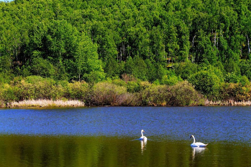 Photograph by Татьяна Перегудова