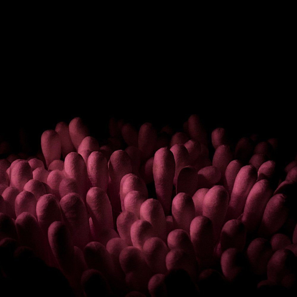 Photograph by Евгения Князева