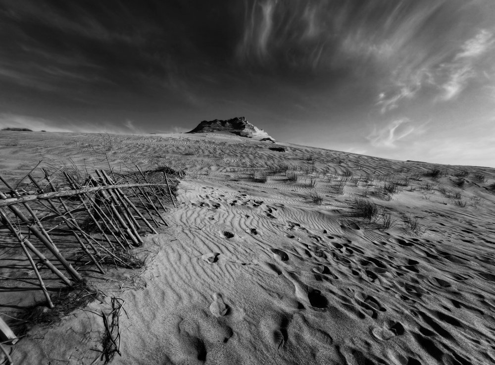 Photograph by Liucija Karaliene