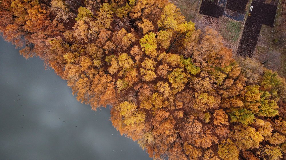 Фотография автора ТАРАСОВ ЕВГЕНИЙ