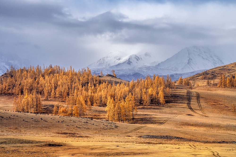 Photograph by Алексей Вымятнин
