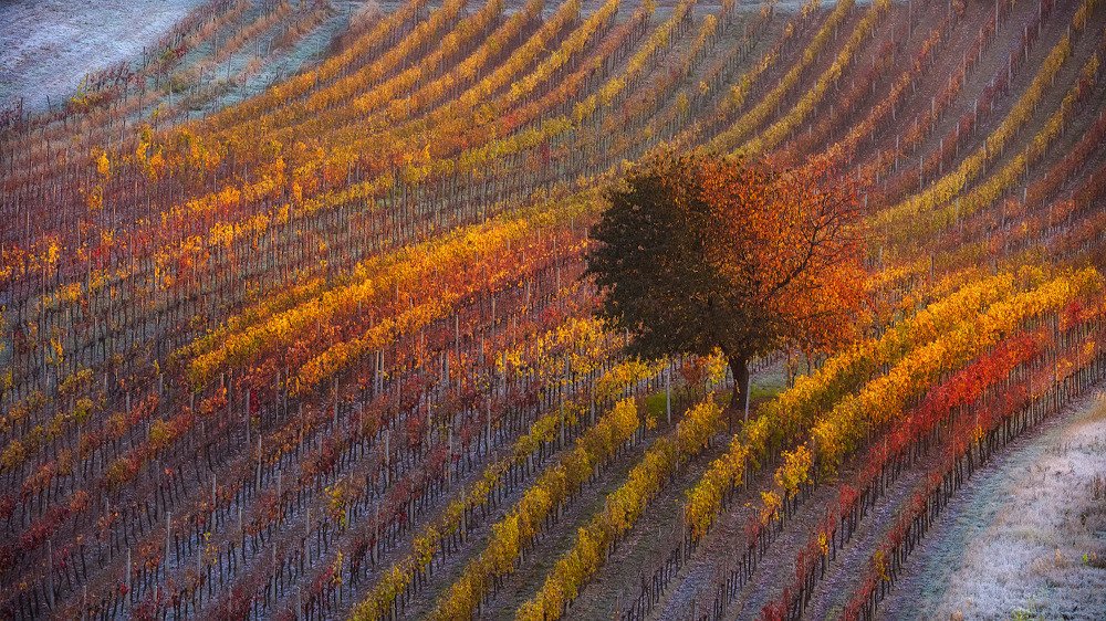 Photograph by Алексей Вымятнин