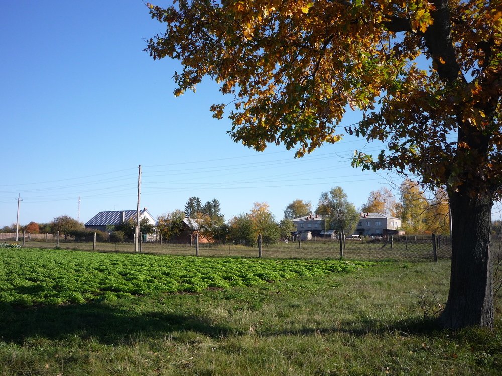 Photo #5189413