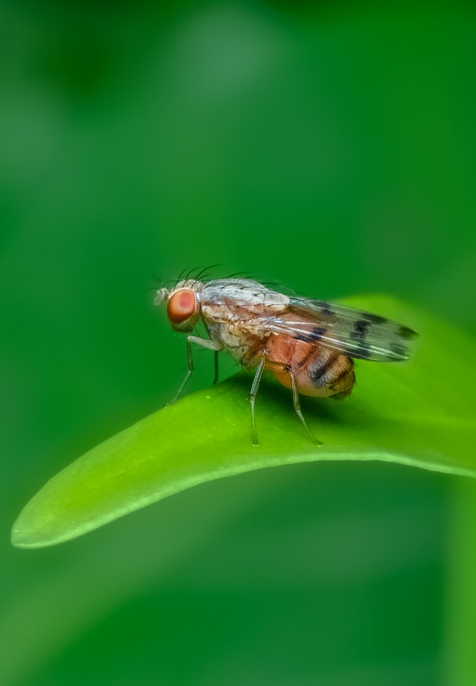 Photograph by Tanmoy Das