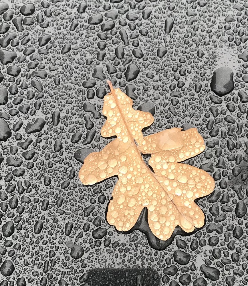 Photograph by svetlana Teteryatnik