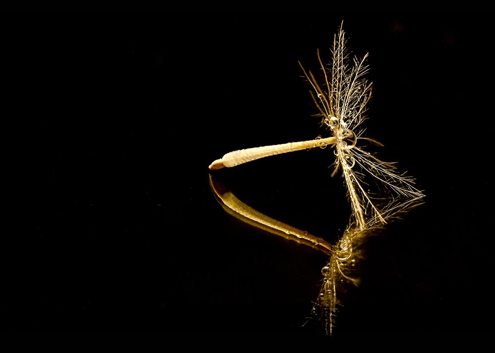 Photograph by Jordi Roig