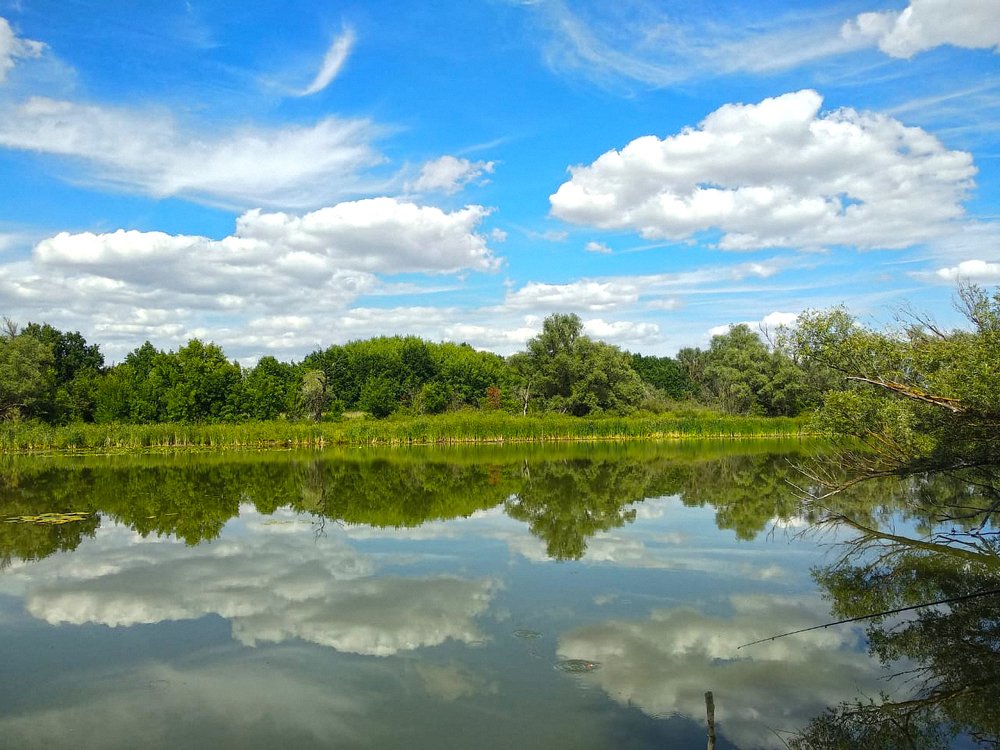 Photograph by Iren Gavrikova