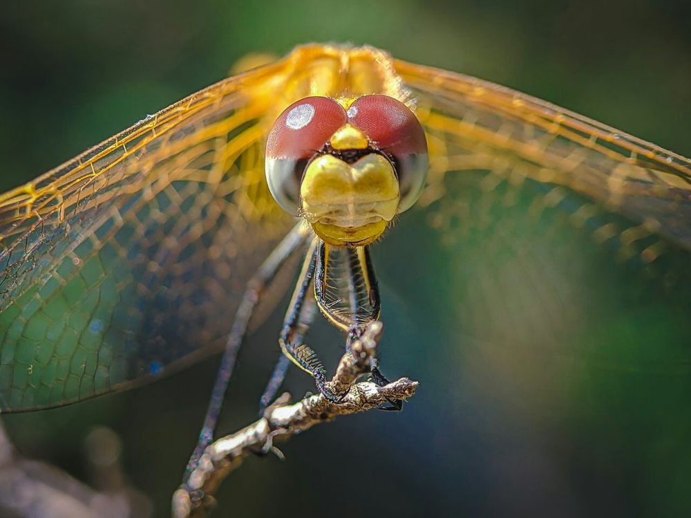 Фотография автора Mansoor Heydaryan