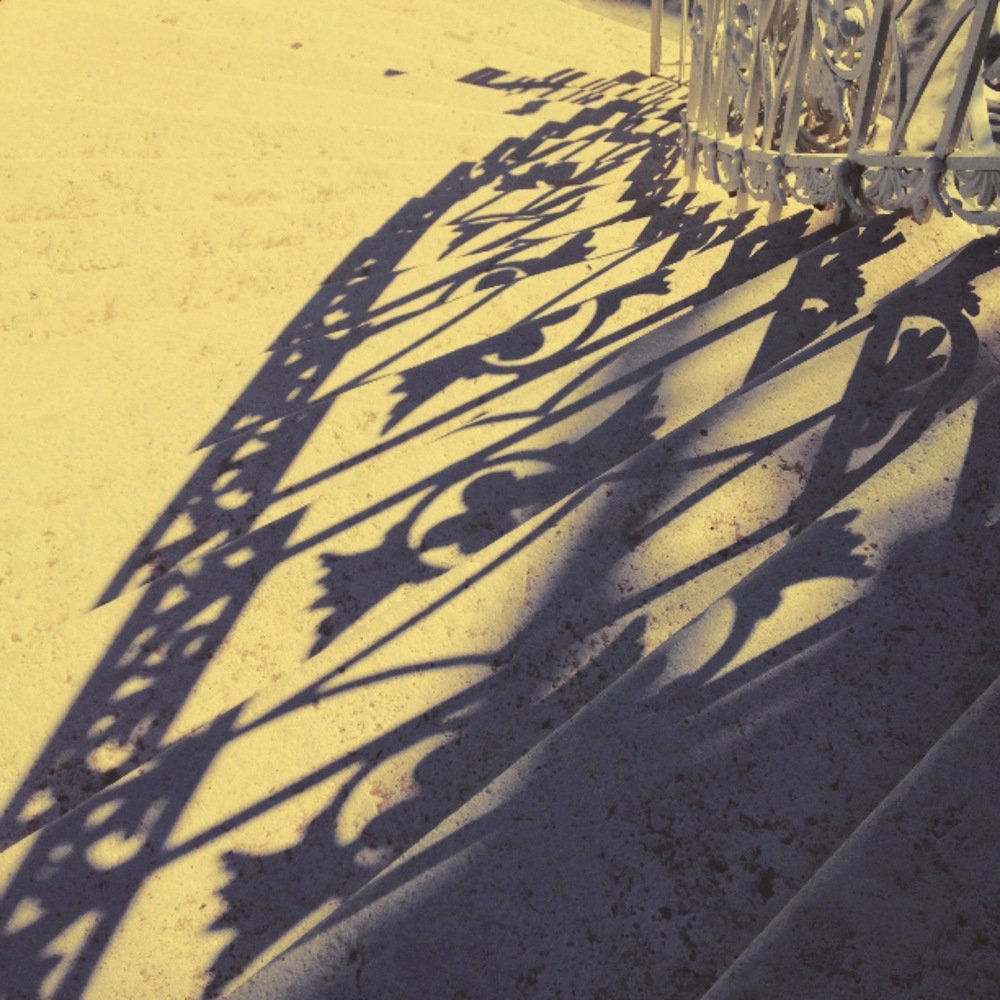 Photograph by Сафронова Любовь