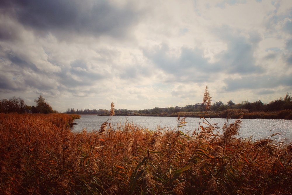 Река Кагальник в ноябре.