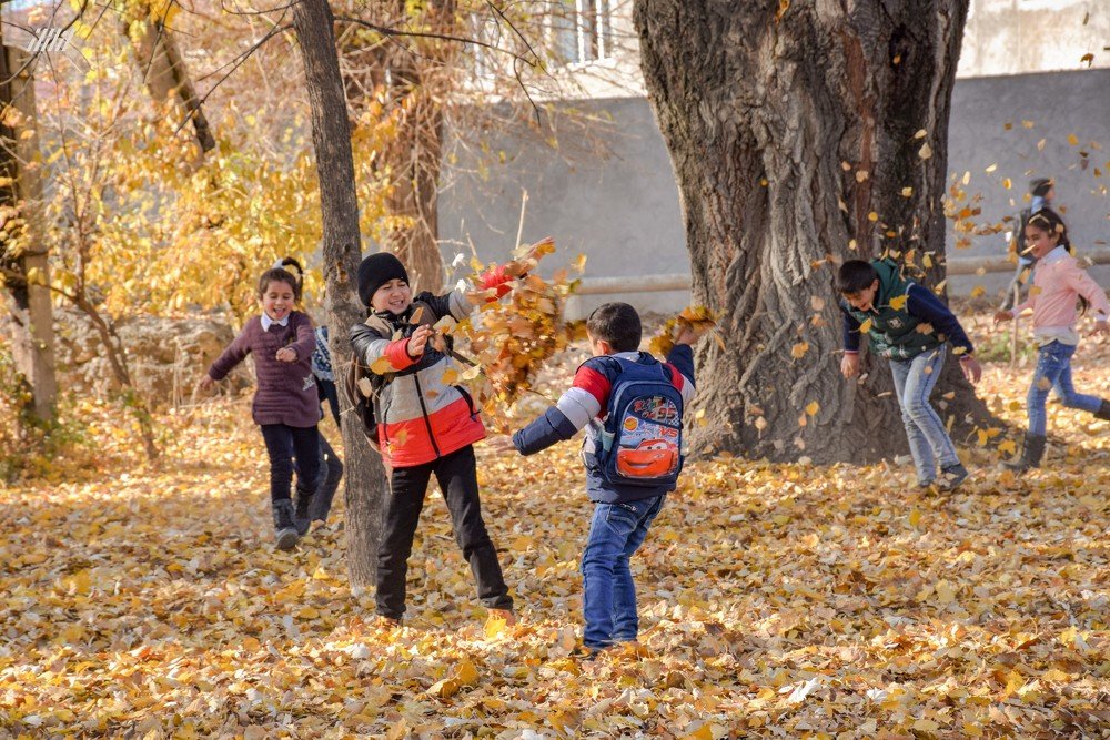 Радость осени