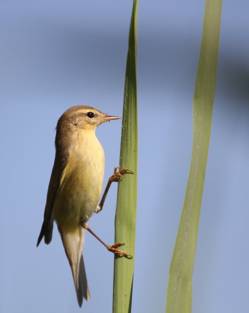 Всматриваясь вдаль