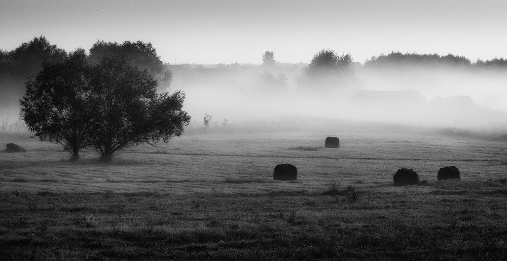 Photograph by Аркадий Саямов