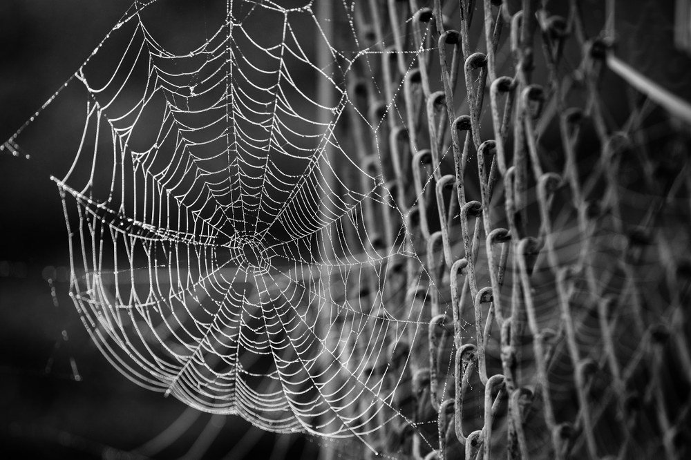 Photograph by Аркадий Саямов