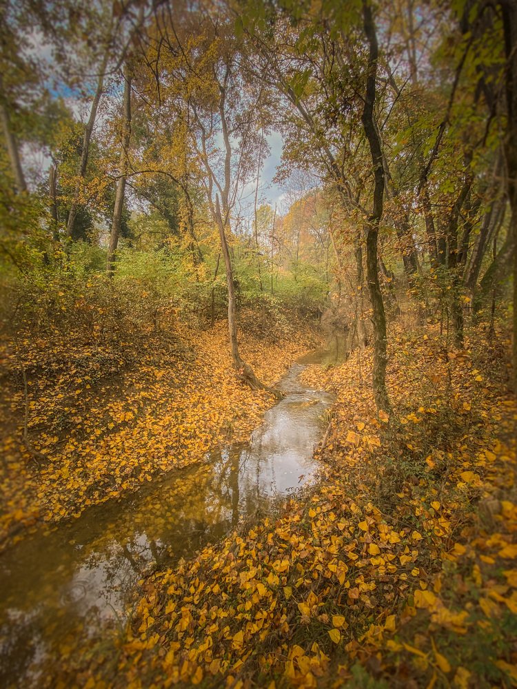 The Yellow Impression