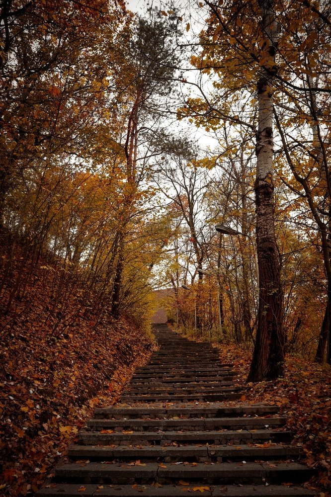 Photograph by Марина Шамич