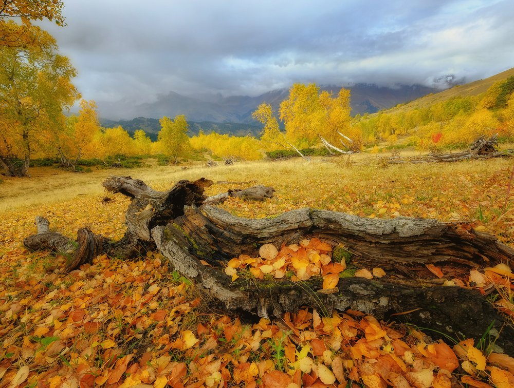 Photograph by Олеся Федосеенкова