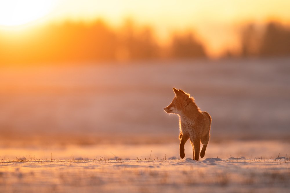 Photograph by Ve Shandor