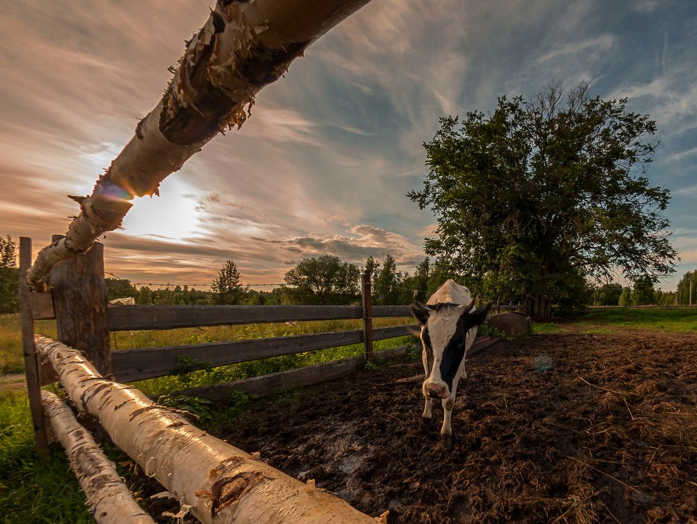 Photograph by Армашов-Тельник Григорий