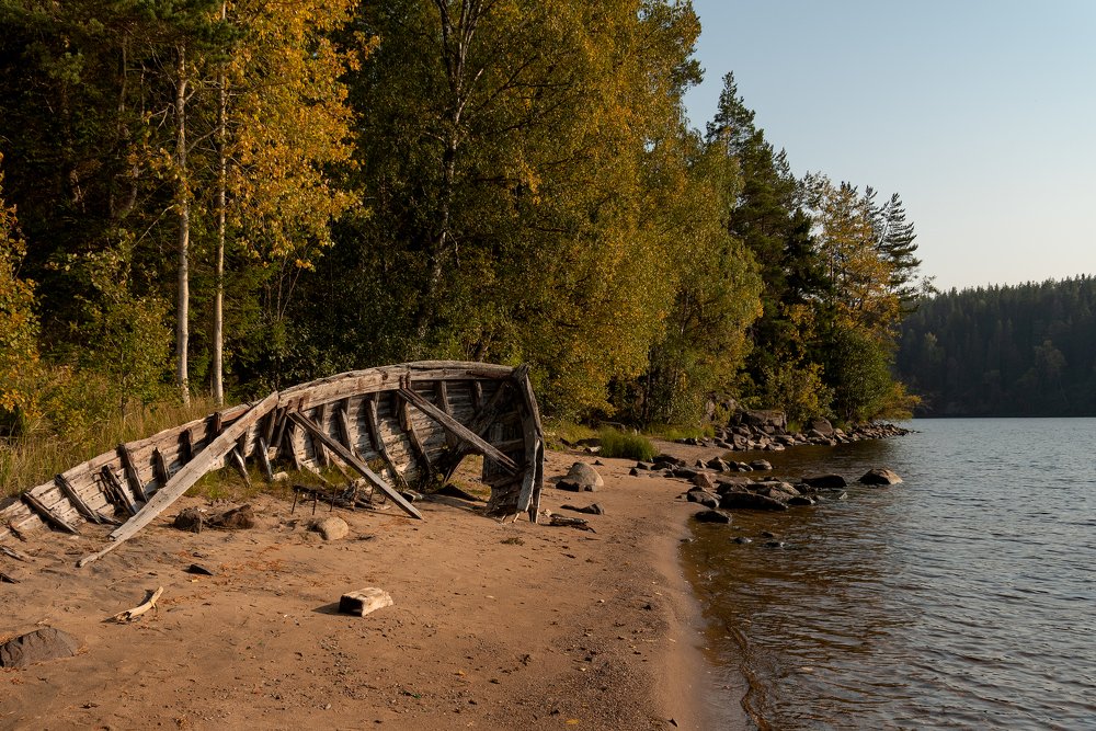 Photograph by Ирина Лазарева