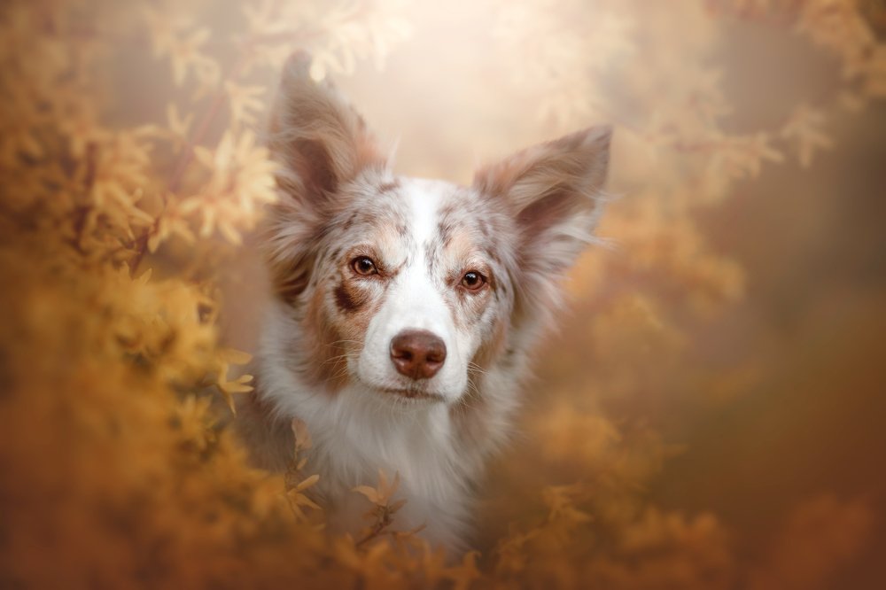 Photograph by Ve Shandor