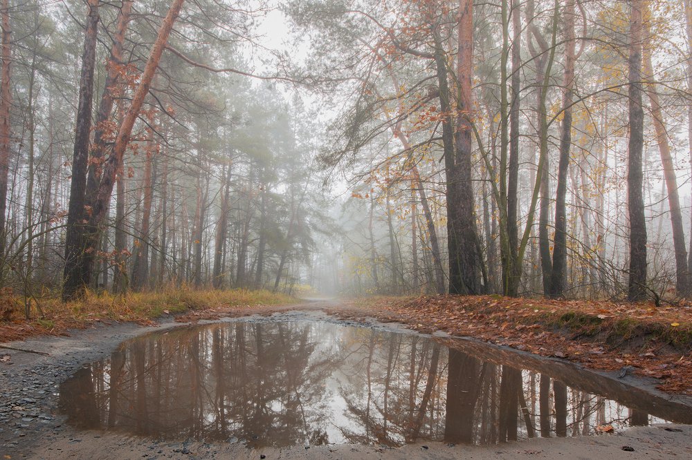 Photograph by Павел Абакумов