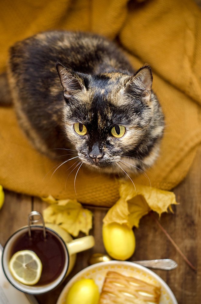 Photograph by Виктория