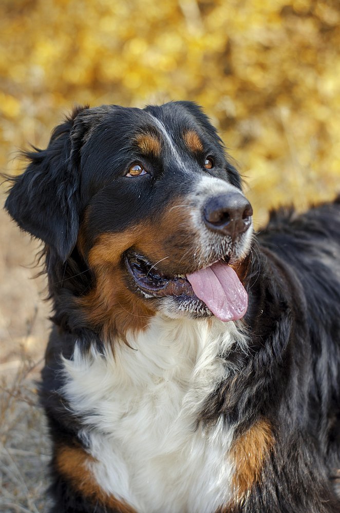 Photograph by Виктория